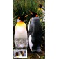 #2708 King Penguins S & T FDC