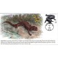 #3815 Blue-spotted Salamander S & T FDC