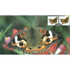 #4001 Common Buckeye Butterfly S & T FDC
