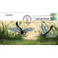 #4267 Dragonfly S & T FDC