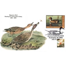 #RW68 Northern Pintail S & T FDC
