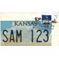 #4292 FOON: Kansas Flag Torno FDC
