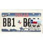 #4323 FOON: Texas State Flag Torno FDC 