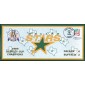 Dallas Stars Wins Stanley Cup USPS Cover
