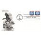 #O135 Official - Eagle PNC Artcraft FDC